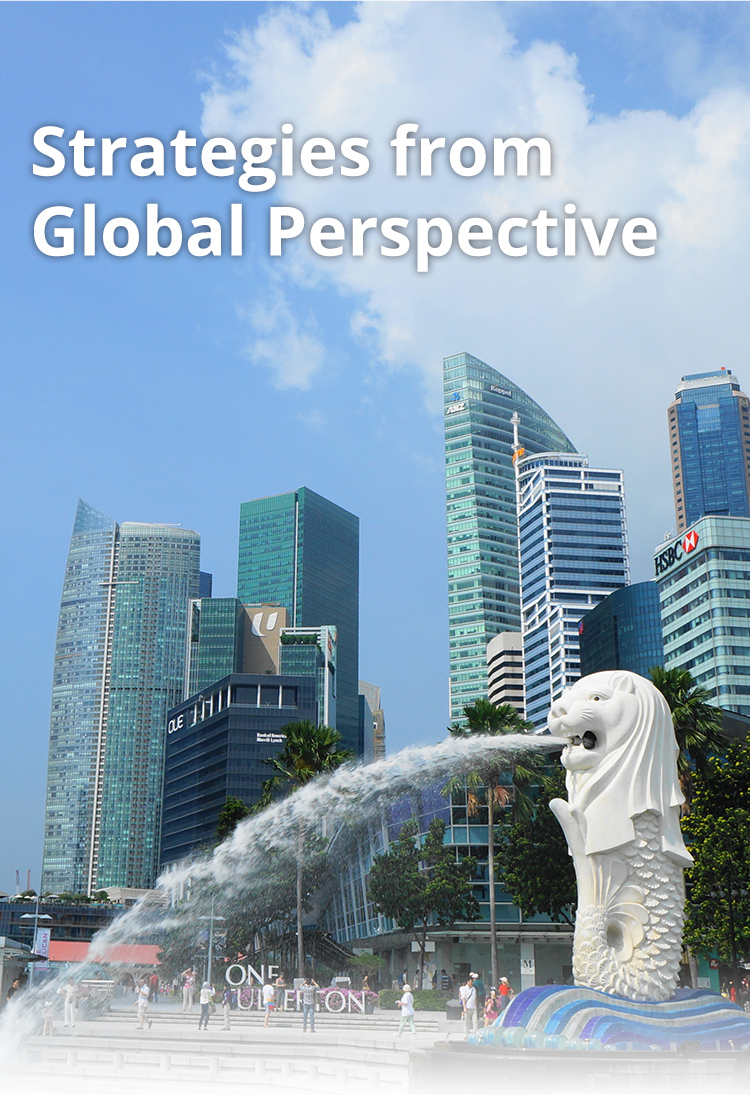 Strategies from Global Perspective