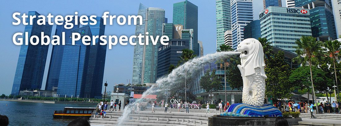 Strategies from Global Perspective